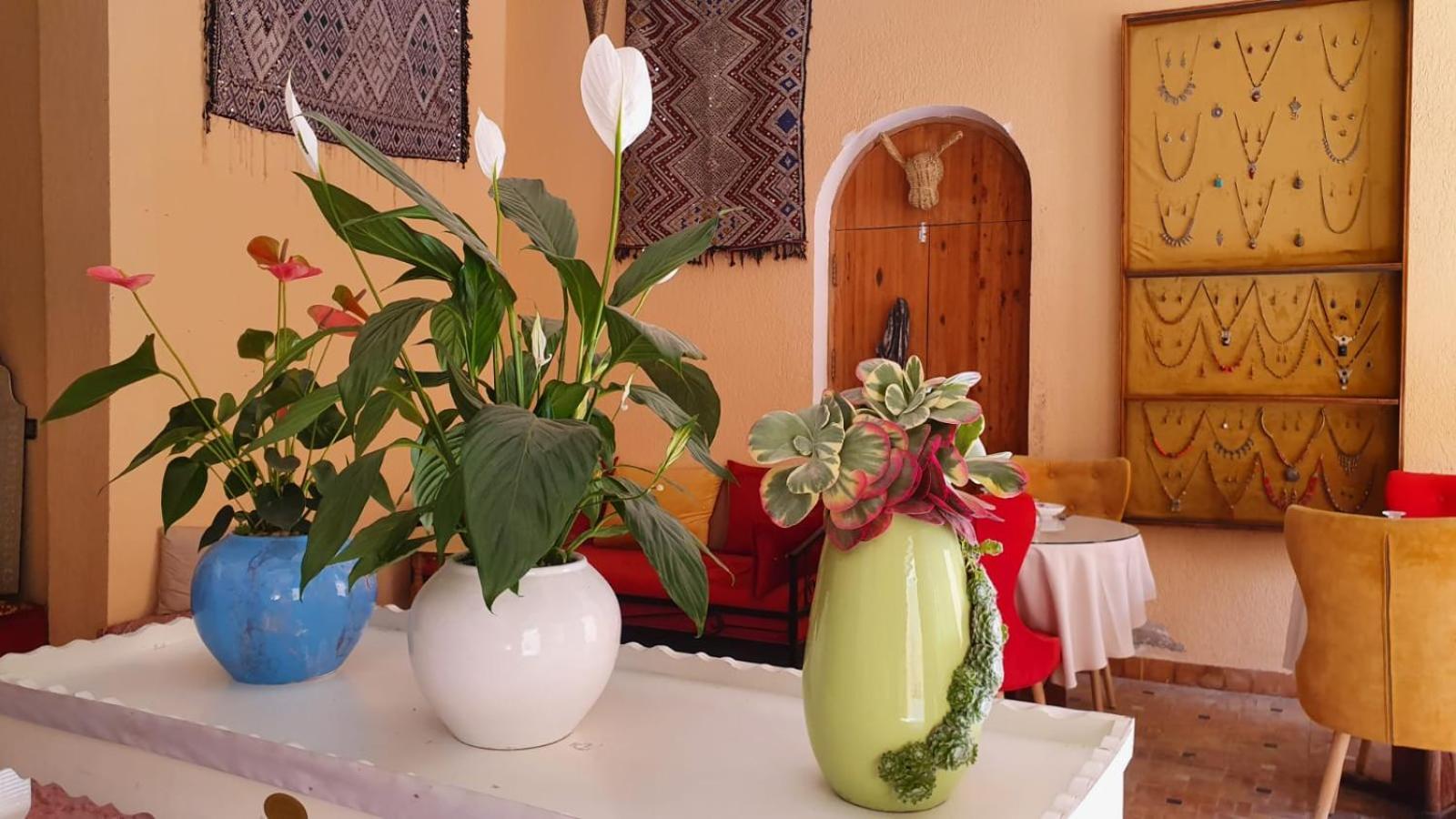 Riad Golf Stinia 2 Мекнес Экстерьер фото